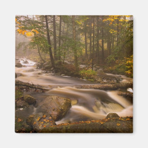 Flowing Streams Appalachian Trail Vermont Magnet