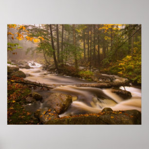 Flowing Streams Appalachian Trail   Vermont Poster
