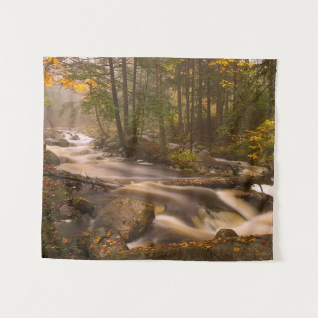 Flowing Streams Appalachian Trail | Vermont Tapestry (Front (Horizontal))