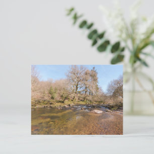 Flowing West Dart River with a Vibrant Spring Sky Postcard