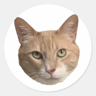 Floyd sticker! classic round sticker