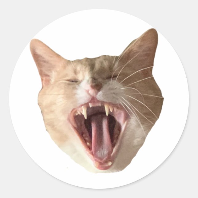 Floyd Sticker - With Mouth Open! (Front)