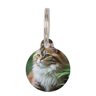 "Fluff and Cuddles: The Chubby Persian Cat" Pet Tag