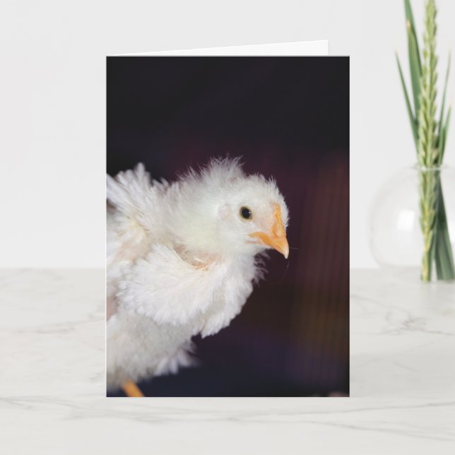 Fluff Card (Front)
