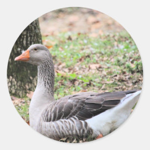 Fluff Classic Round Sticker