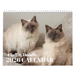 Fluff & Doodle 2026 Calendar