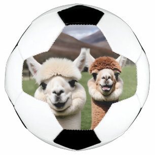 Fluff & Friendship Soccer Ball