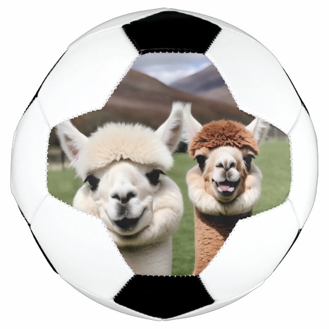 Fluff & Friendship Soccer Ball (Front)