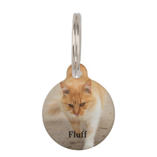 Fluff Pet Tag