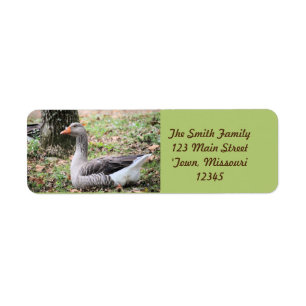 Fluff Return Address Label