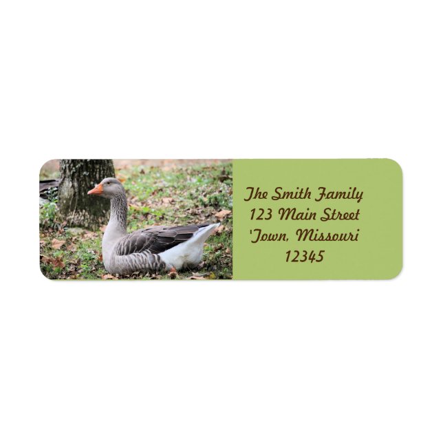 Fluff Return Address Label (Front)