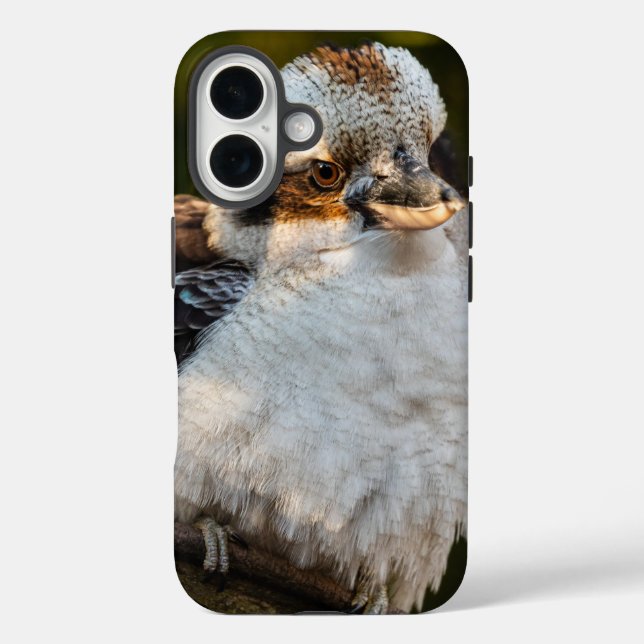 Fluffed up laughing kookaburra Case-Mate iPhone case (Back)