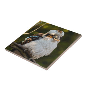 Fluffed up laughing kookaburra ceramic tile