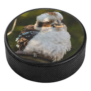Fluffed up laughing kookaburra hockey puck