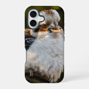 Fluffed up laughing kookaburra iPhone 16 case