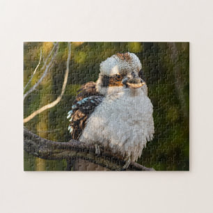 Fluffed up laughing kookaburra jigsaw puzzle