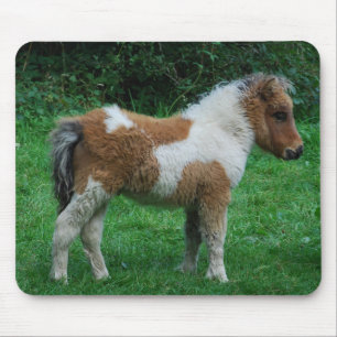 Fluffy Adorable Dartmoor Pony Mouse Pad