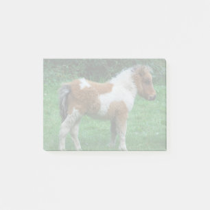 Fluffy Adorable Dartmoor Pony Post-it Notes