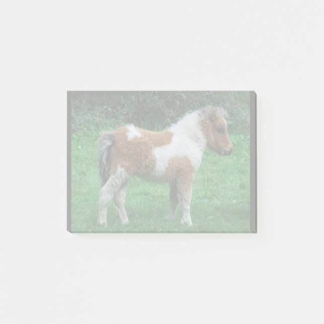 Fluffy Adorable Dartmoor Pony Post-it Notes (Front)