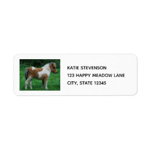 Fluffy Adorable Dartmoor Pony Return Address Label