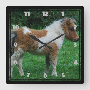 Fluffy Adorable Dartmoor Pony Square Wall Clock
