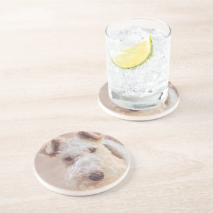 Fluffy Airedale Welsh Terrier Type Dog Puppy Coaster