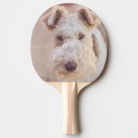 Fluffy Airedale Welsh Terrier Type Dog Puppy