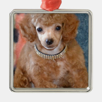 Fluffy Apricot Poodle Puppy Dog Metal Ornament