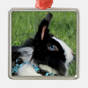 Fluffy Black and White Lionhead Bunny Rabbit Metal Ornament