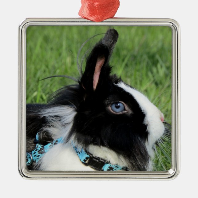 Fluffy Black and White Lionhead Bunny Rabbit Metal Ornament (Front)