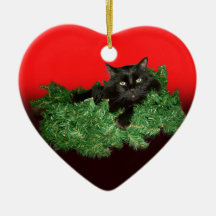 Fluffy Black Cat in Christmas Wreath
