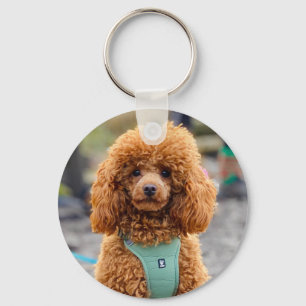 Fluffy Brown Poodle Puppy Dog Key Ring