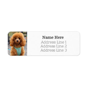 Fluffy Brown Poodle Puppy Dog Return Address Return Address Label