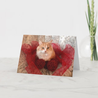 Fluffy Cat and Red Ribbon Holiday Greeting Card