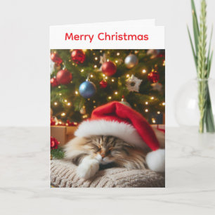 Fluffy cat christmas card