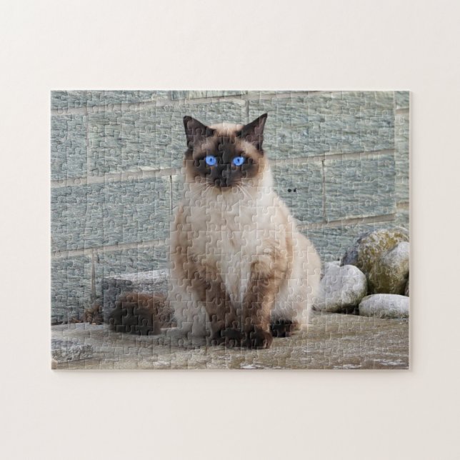 Fluffy Cat with Blue Eyes Jigsaw Puzzle (Horizontal)