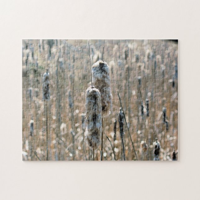 Fluffy Cattails In Spring Nature  Jigsaw Puzzle (Horizontal)
