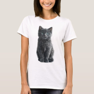 Fluffy Charcoal Grey Kitten Blue Eyes Women T-Shirt