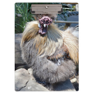 Fluffy Charm Imperfection: A Unique Silky Rooster Clipboard