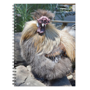 Fluffy Charm Imperfection: A Unique Silky Rooster Notebook