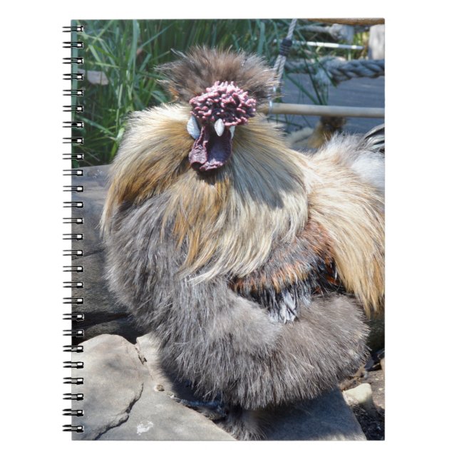 Fluffy Charm Imperfection: A Unique Silky Rooster Notebook (Front)