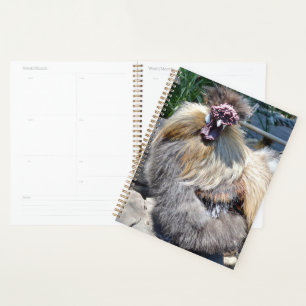 Fluffy Charm Imperfection: A Unique Silky Rooster Planner