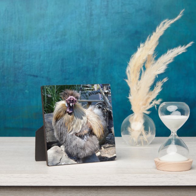Fluffy Charm Imperfection: A Unique Silky Rooster Plaque (Insitu)