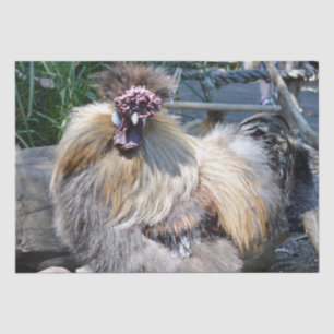 Fluffy Charm Imperfection: A Unique Silky Rooster Tissue Paper