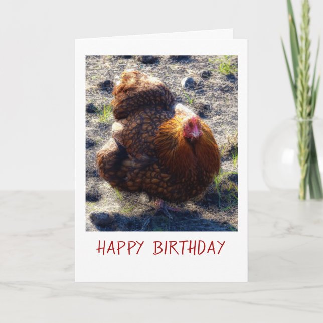 Fluffy chicken Birthday Card (Front)