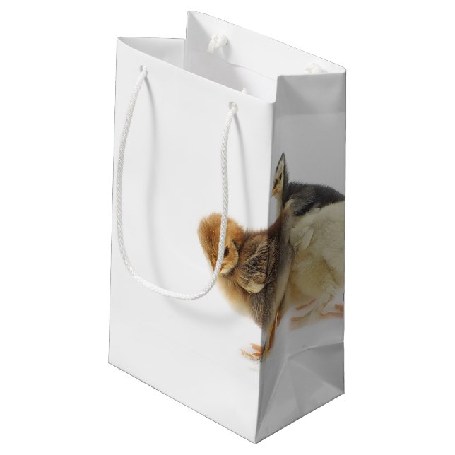 fluffy chicks small gift bag (Back Angled)
