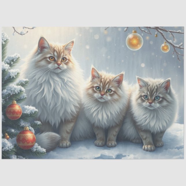 Fluffy Christmas Cats Tissue Paper (Front)