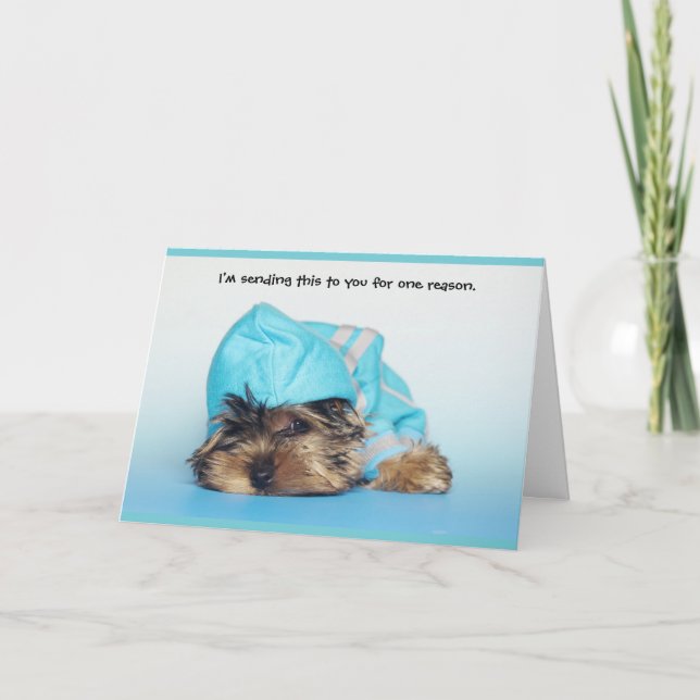 Fluffy Cute Dog Thinking of You Greeting Card (Front)