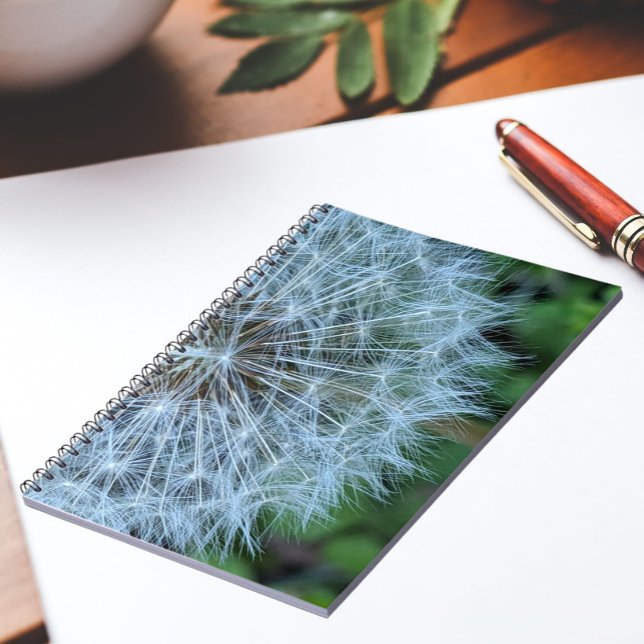 Fluffy Dandelion Seed Head Photo Notebook (In Situ)