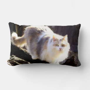 Fluffy Dilute Calico Maine Coon Cat Lumbar Cushion